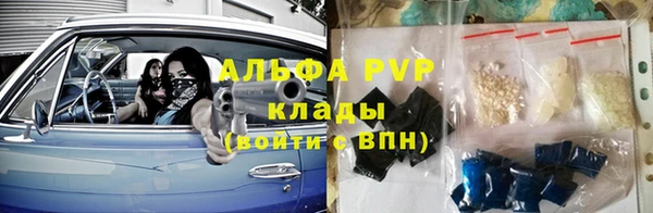 мяу мяу мука Абаза