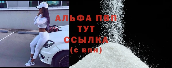 мяу мяу мука Абаза