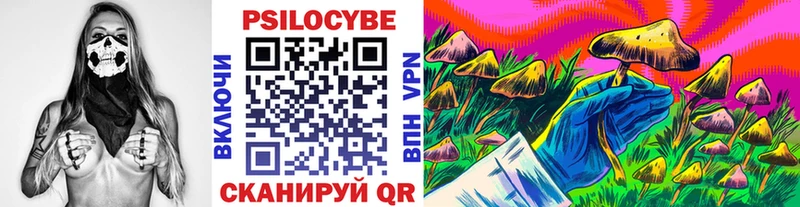 Псилоцибиновые грибы ЛСД  MEGA зеркало  Фрязино 