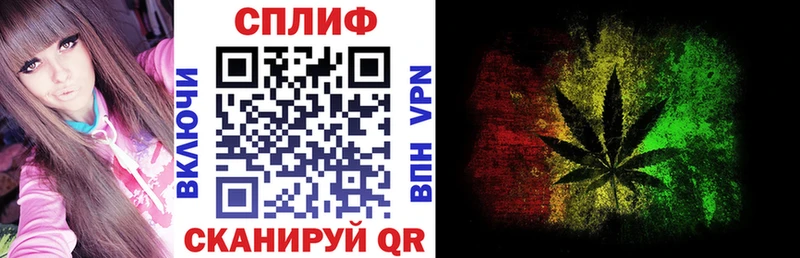 Конопля сатива  Фрязино 